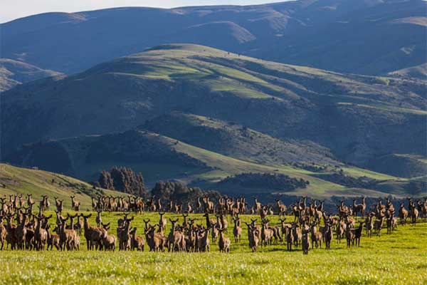 Connections key to future rural sector success